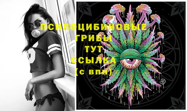 2c-b Богородицк