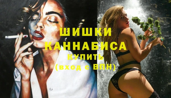 2c-b Богородицк