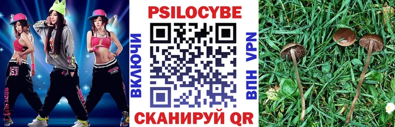 Галлюциногенные грибы мицелий  купить   ссылка на мегу рабочий сайт  Мезень 