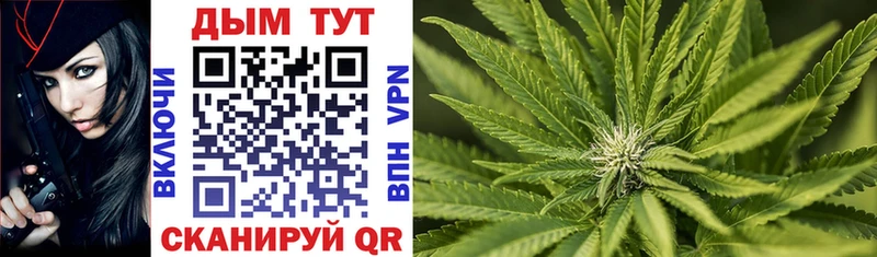Канабис OG Kush  хочу наркоту  Мезень 